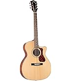 Amazon | GUILD (ギルド) エレアコギター アーチバック シリーズ